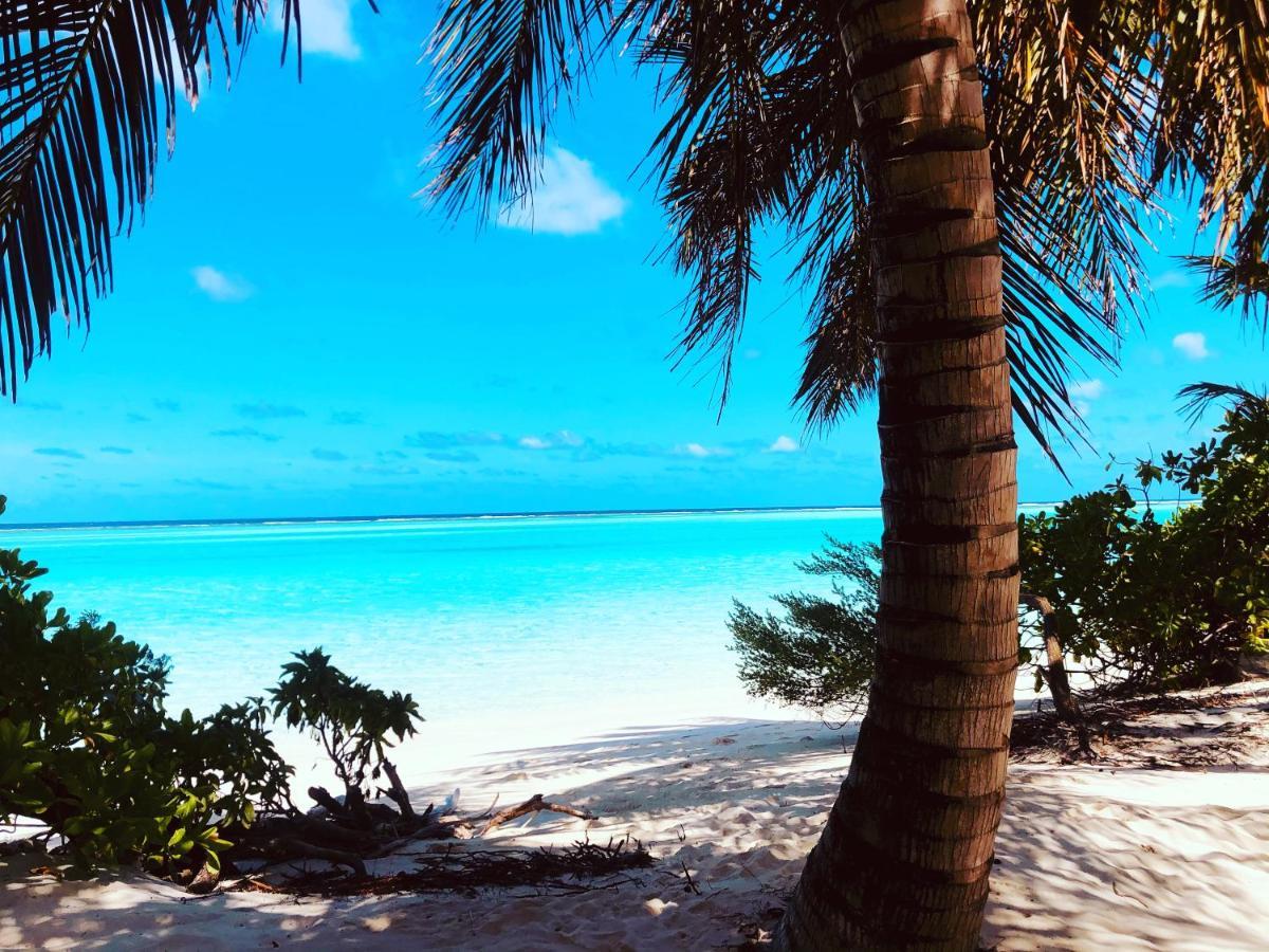 Dacha Thoddoo Hotel Luaran gambar